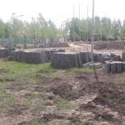 large_20200430_113104.jpg