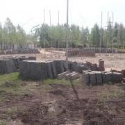 large_20200430_113216.jpg