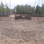 large_20200430_113257.jpg