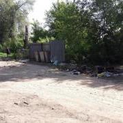large_20200514_103202.jpg