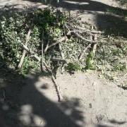 large_20200514_105002.jpg