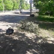 large_20200514_105027.jpg