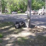 large_20200514_105134.jpg