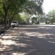 large_20200514_105818.jpg